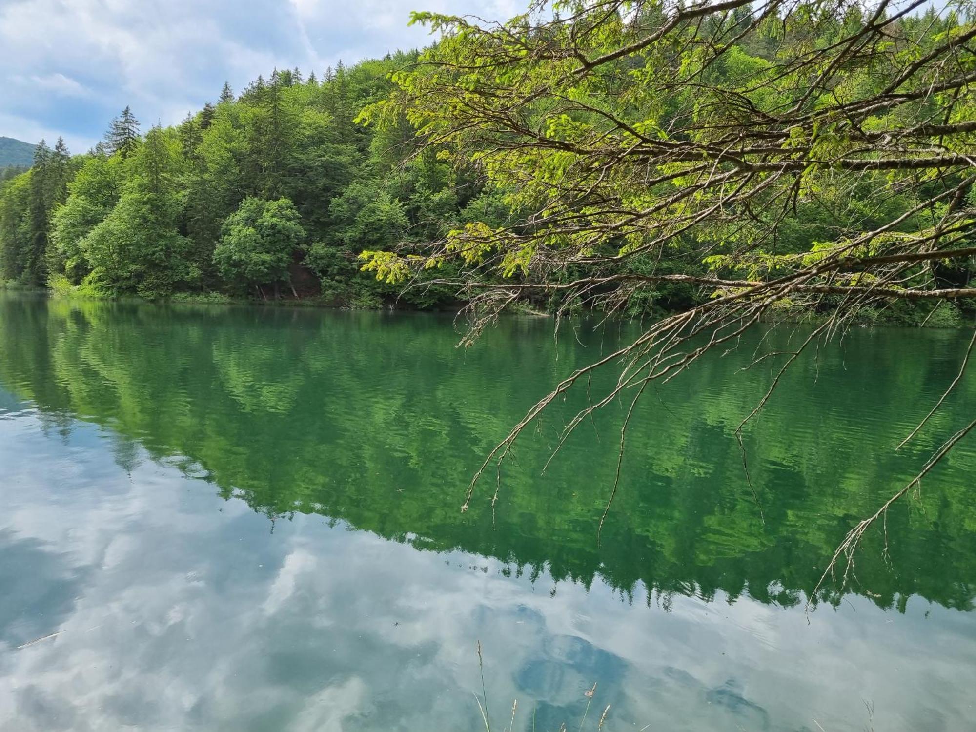 Villa Lady Di Plitvice Vrhovine 외부 사진