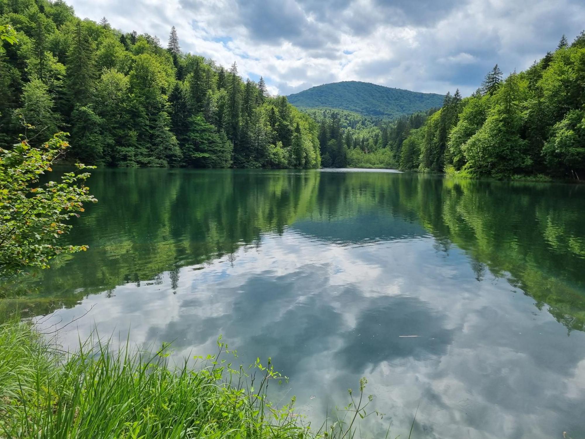 Villa Lady Di Plitvice Vrhovine 외부 사진