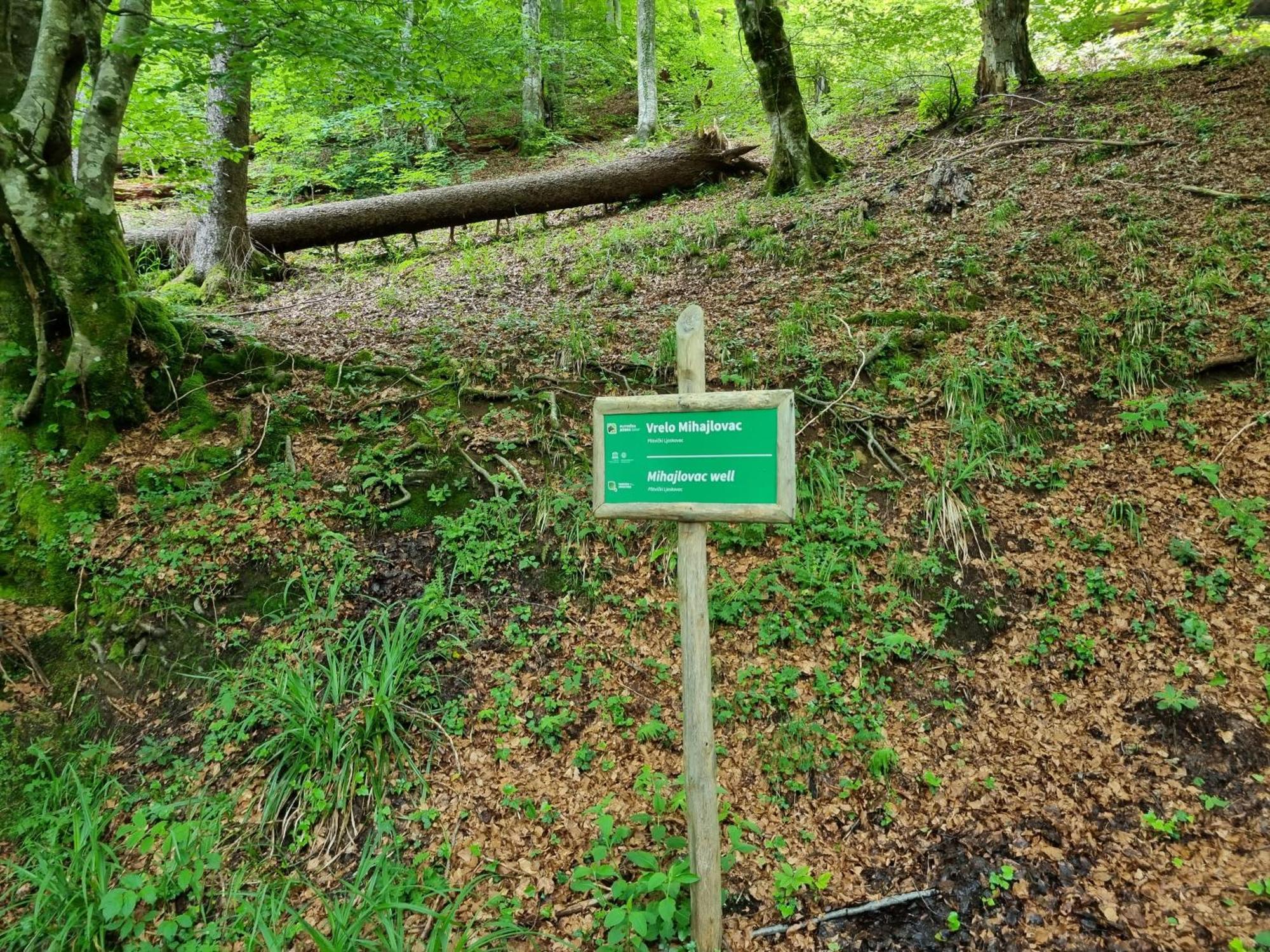 Villa Lady Di Plitvice Vrhovine 외부 사진